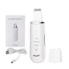 Outils de nettoyage Accessoires Épurateur de peau ultrasonique professionnel Ion Nettoyage profond du visage Pelle à éplucher Exfoliant Dispositif de soins de la peau Machine de beauté 230829