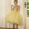 Girl Dresses Sequin Bow Flower Dress Tulle Skirt Belt Applique Wedding Elegant Child's First Eucharist Birthday Party