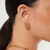 Klassische Ohrringe, 18 Karat vergoldet, schuppige Nagelohrringe, Designer-Damenmode, Laufsteg, schlangenartiger, ausgehöhlter Schmuck, Accessoires, Marke B