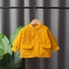 衣料品セット冬の秋の男の子の服フルスリーブソリッドパーカーパンツ2pc/セットコットンスーツ子供服幼児ブランドトラックスーツ230830