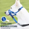 Dog Collars Leashes Creative Dog Halter Halti Training Head Collar Gentle Leader Harness Nylon Breakaway All Seasons Usefull Harnesses Lead 230829