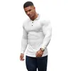 Herrpolos Autumn Fashion Sticked Polo Shirt Men Classic White Ribbed Skinny Long Sleeve Polos Male Elastic Breattable Sports Jersey Shirt 230830