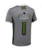F1 Suit Suit Team Team Lapel Polo Shirt Men's Plus Size Short Sleeve T-Shirt Outdoor Leasure Sports Equiply-تجفيف الملابس