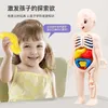 Tools Workshop 14 Piece Set Children's Science and Education Human Body Organ Model DIY Assembled Early Toys 230830