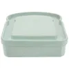 Plates Sandwich Box Container Containers Fridge Aldult Small Kids Reusable Toddler Plastic Cake