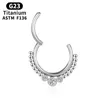 Piercing Septum Titan Knorpel Tragus G23 Nasenring Sexy Industrielle Zirkon Ohrringe Clicker Scharnier Segment Frauen Körperschmuck