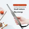 Hair Straighteners Professional 2 in 1 Straightener Curling Iron hair curler Flat for Short LED Ceramic Beard 230829