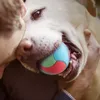 犬のおもちゃを噛むペットの噛む抵抗性の弾力のある弾力のある弾力性のある大きな犬の歯のクリーニングチュートレーニング製品230829