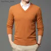 2023 Hoge Kwaliteit Nieuwe Mode Merk Wollen Gebreide Trui V-hals Trui Zwart Voor Mannen Herfst Winter Casual Jumper Mannen kleding Q230830