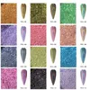 Nagelglitter 12-delige kit Holografisch nagelpoeder Glitter Zilver Serie Nagelpailletten Pigmenten Nail Art-vlokken Decoratie DHZ-polijstgereedschap 230830