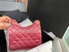 CHANEL Designer de luxe Designer Femmes Classique ChainLeather Toile Mode Sacs à main Sacs 2023 Nouveau sac de velours 23C Disinger BAG pour les filles