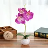 Kwiaty dekoracyjne 1set Trigeminal Phalaenopsis Symulacja Bonsai sztuczny kwiat roślinny do domu