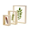 Cadres Style nordique feuilles de fleurs séchées bricolage plante pressée photo double face verre cadre en bois décoration de la maison mur art 1pc1 goutte de dhjdh