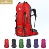 Mochila 60L Mochila al aire libre Camping Bolsa de escalada Montañismo impermeable Mochilas de senderismo Molle Bolsa deportiva Mochila de escalada 230830