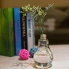 Vases Transparent Glass Bulb Shape Table Vase For Plants Flowers Home Garden Wedding Decoration