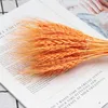 25pcs Dried Bouquet Orange Wheat/Rye Bunch Wedding Party Home Decor Artificial Festive Supplies HKD230829