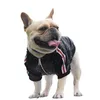 Cappotto per cani da cane alla moda Faldo Chenery orsacchiotto paillettes per pentola di colore Solido di colore autunno a molla calda.