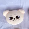 Skzoo ألعاب من القطيفة وسادة Kawaii Stray Kids محشوة الحيوان الكورية Plushies وسادة لعبة Pollow الدمى المشجعين هدية للأطفال 38-40 سنتيمتر 220304