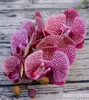Fiori decorativi 3D Real Touch 6 teste di orchidee di farfalla in silicone artificiale all'ingrosso piccolo feltro in lattice di nozze Phalaenopsis