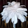 Beautiful Marabou Feathers For DIY Bridal Wedding Crafts Millinery Card Decorate Wedding Ostrich Feathers Wedding Decoration ZZ