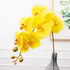 Flores decorativas 8 cabeças orquídea artificial estilo retro europeu traça borboleta orquídeas casa festa de casamento decoração falso flores de seda