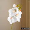 Decoratieve Bloemen Kunst Groene Planten Bonsai Oranje Wit 5-bloemige Phalaenopsis Valse Bloesem Perzik Chrysant