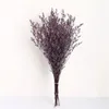 Decoratieve Bloemen 120g Natuurlijke Geconserveerde Limonium Bloem Gedroogd Minnaar Gras Eeuwig Leven Arrangement Voor Thuis Bruiloft Decoratie