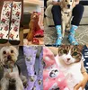 Носки для лица на заказ, персонализированные забавные носки с лицами для мужчин, женщин, любителей кошек и собак, персонализированные подарки для друзей, папы, мамы