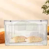 Plates Extra Large Bread Boxs Clear Holder Thicken The Pet Loaf Storage Kitchen Countertop