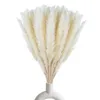 Fiori decorativi Erba di pampa bianca Rami secchi naturali Decorazione per la casa Cucina Giardino Pographing Vaso per composizioni floreali