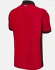 23 24 Albania soccer jerseys National Team Kristjan Asllani Marash 2022 2023 Home Away Third Kumbulla Myrto Uzuni Nedim Bajrami new sport Men S-XXL Football shirt 656