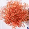 Dekorative Blumen Schleierkraut-Sträuße, natürlich, frisch, getrocknet, konserviert, Gypsophila paniculata, Geschenk, Dekoration, Party, Heimdekoration