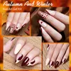 Kits de arte de unhas Bozlin 12 cores outono inverno nail art liner gel kit design para unhas uvled desenho polonês diy pintura verniz linha gel conjunto 230831