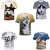 Magliette da uomo Animal Dog Husky Camicia con stampa 3D Donna Uomo Ragazzi Ragazze Moda estiva O-Collo Manica corta Maglietta divertente T-shirt grafiche Streetwear