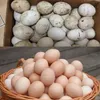 2023 New Design Industrial Small Automatic Roller Brush Type Duck Egg Washer