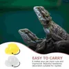 Dog Apparel 2 Pcs Lizard Hat Cockatiel Toys Lovely Mini Snake Crawl Pet Wearing Top Stylish Plastic Hard