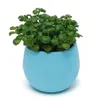 الوعاء الزهور البلاستيكي للمزارعين للنباتات الخضراء النباتية Coloful Flowerpot Home Office Decoration Garden Supplies 7cm 6.5cm