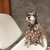 القميص المطبوع للكلب الأليف Schnauzer Falcon Teddy Corgi Puppy قميص عصري