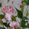 زهور زخرفية واقعية 100 سم الصفصاف الاصطناعي chrysanthemum النباتية مزيفة Flore Home حفل زفاف الحفرة ديكور الدعائم DIY