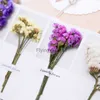 10 Pieces/Set Dried Flowers Envelope Greeting Cards Wedding Invitations Handwritten Postcards Gift Thank You LST230831
