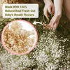 Decorative Flowers Dried Baby's Breath Bouquet Bulk Cream White Natural Gypsophila Branches Wedding Floral Arrangement Home Decor