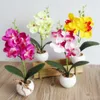 Fiori decorativi Real Touch Farfalla artificiale Fiore di orchidea Bonsai Falena di plastica di seta Phalaenopsis per la decorazione domestica di nozze Vaso finto