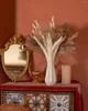 Flores decorativas grama de pampas para boho casa sala náutral secas pompas ocidental moderno quarto mesa banheiro casamento chá de bebê decoração
