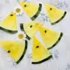 Decorative Flowers 2PCS/6-8cm Nature Real Watermelon Specimens Pressed Yellow Slices Embossed DIY Plant Material Drip Glue Phone Case