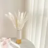 装飾的な花白いパンパスグラス天然乾燥枝の家庭庭園の装飾花のアレンジメント花瓶