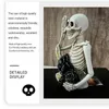 Decorative Objects Figurines Skull Couple Statue Skull Bride And Groom Couple Figurine Mini Resin Collections For Home Office Bar Decors Christmas 230830