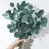 Dekorativa blommor 100 g torkad bevarad eukalyptusstammar för blommor arrangemang Vase fyllmedel naturligt silver dollar blad verklig färsk växt