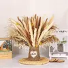 Flores decorativas 135 Pçs/lote Natural Flores Secas Bouquet Para Quarto Cooler Mesa Decoração Planta Pampas Grandes Rabbitail Reeds Gras