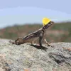 Hundkläder 2 datorer Lizard Hat Reptil Terrariums Crawl Pet Wearing Decoration Mini Stylish Beard Plastic