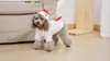 Vêtements pour chiens Warmhut drôle chien poulet costume animal de compagnie Halloween Noël cosplay manteau petit animal de compagnie chat costume polaire à capuche tenues chaudes vêtements 230830